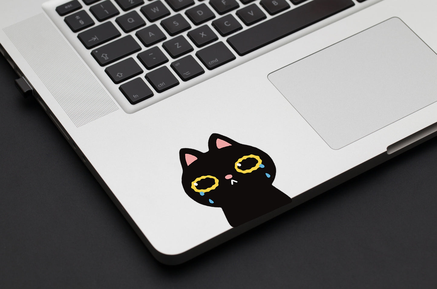 Crying Cat Sticker